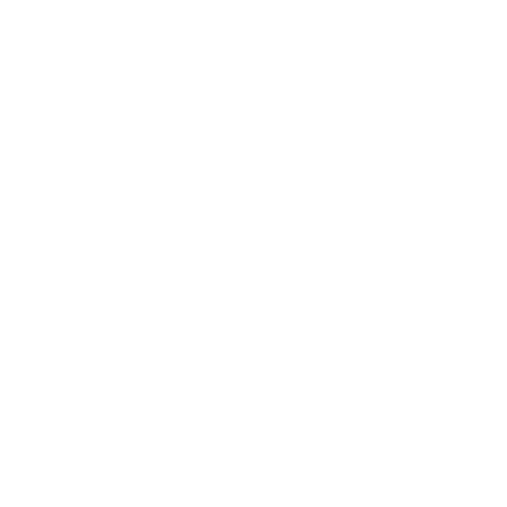 INSANA_preto_transparente INSANA_preto_transparente